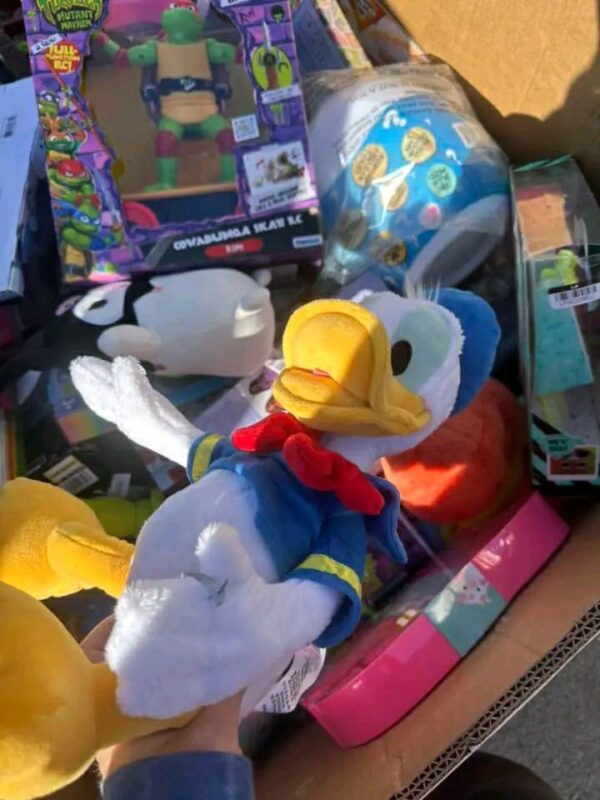 Walmart Toy Pallets - Image 4