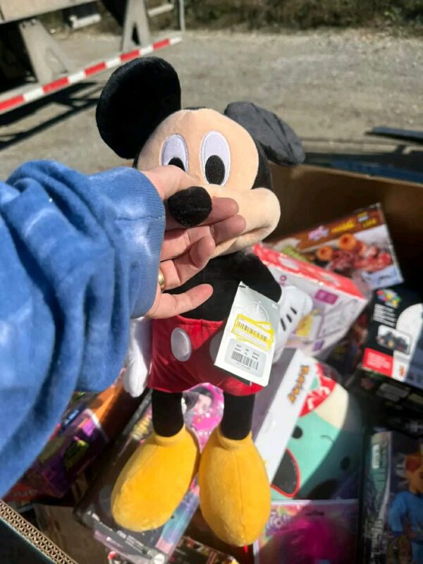 Walmart Toy Pallets - Image 34